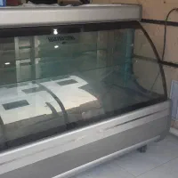 یخچال‌مونوردانفوس