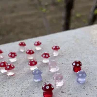 قارچ شب تاب