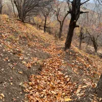 ۱۰۰۰متری روستای کلوان|فروش زمین و ملک کلنگی|آسارا, |دیوار