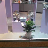 دکور مغازه|فروشگاه و مغازه|ری, علایین|دیوار