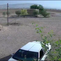 سگ ماده گم شده محدوده روستایی سبزاب