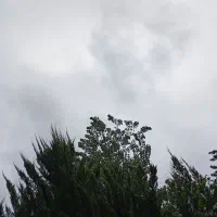 راهنما میخوام