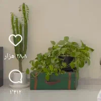 خورجین گمشده