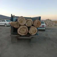 خرید چوب|خدمات باغبانی و درختکاری|اراک, |دیوار