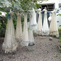 تعداد تور پرتابی یا ماش یا سالک|ماهیگیری|رودسر, |دیوار