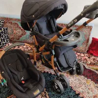 کالسکه وکریر دلیجان|کالسکه و لوازم جانبی|تهران, شهمیرزادی|دیوار