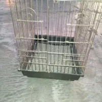 قفس|لوازم جانبی حیوانات|ایرانشهر, |دیوار