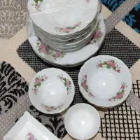 چینی گل محمدی