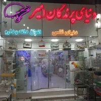 دستگاه جوجه کشی هدایت