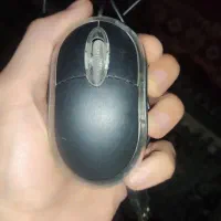 موس معمولی