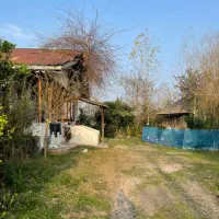 خانه و شالیزار 15هزار متری|فروش خانه و ویلا|رشت, دیلمان|دیوار