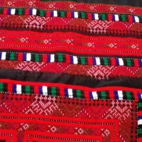 زی آستین جوکی|لباس|سراوان, |دیوار