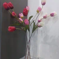 فروش گل لاله وگلدان|گل مصنوعی|بندر کنگان, |دیوار