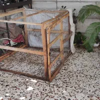 قفـس مرغ وجوجه