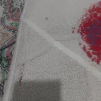 فرش اتاق کودک یه مقدار پارگی داره که تو عکس مشخص|اسباب و اثاث بچه|تهران, خانی آباد نو شمالی|دیوار