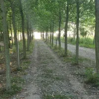 چالش جذاب سرمایه گذاری ،ویلا جنگلی خاص|فروش خانه و ویلا|سرپل ذهاب, |دیوار