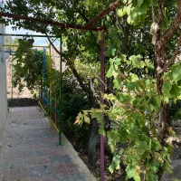 فروش-باغ