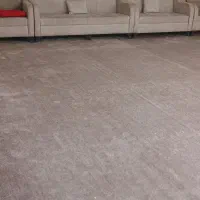 فروش موکت پالاز