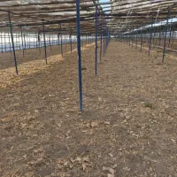 فروش-11جریب-گلخونه