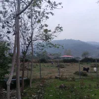 ۳۰۰زمین مسکونی*پروانه ساخت*