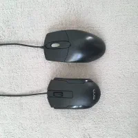 دو عدد موس کاملا سالم