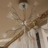 دو عدد لوستر شکوفه|لوستر و چراغ آویز|تبریز, |دیوار