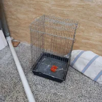 قفس ۱۰۳۳ سایز بزرگ