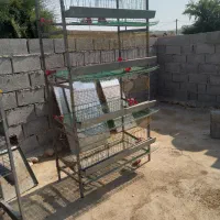 دستگاه جوجه کشی|لوازم جانبی حیوانات|لیکک, |دیوار