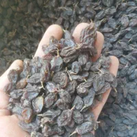 کشمش و مویز افتابی بیضا