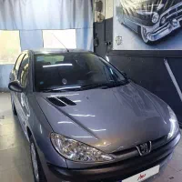 ۲۰۶ تیپ ۲ استثنائی