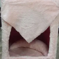 باکس خواب گربه|لوازم جانبی حیوانات|اردبیل, |دیوار