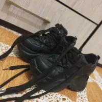 کفش لژدار|کیف، کفش، کمربند|جوانرود, |دیوار