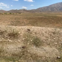 زمین