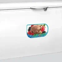 فریزر بستنی