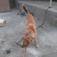 خوب