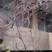 منزل ویلایی دو واحد مستحکم