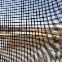 گاوداری-مزرعه-کلانتر