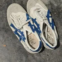 کفش سالنی تایگر|کیف، کفش، کمربند|سردشت, |دیوار