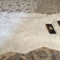 پادری