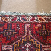قالی|فرش|شیراز, گل سرخ|دیوار