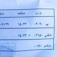 تمیزکردن باغ و بریدن چوب و هرس کاری