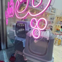 غذا خشک باکس خاک  پت شاپ کوله