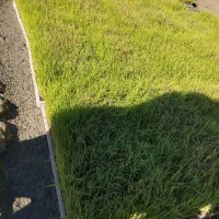 توم کاظمی باکسی150 هاشمی موجود