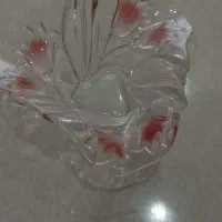 ظروف پذیرایی