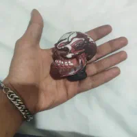 سر دنده اسکلتی