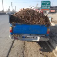 کود گاو گوسفند وخاک باغچه