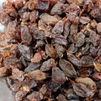 کشمش|خوردنی و آشامیدنی|تربتحیدریه, قائم|دیوار