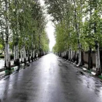اجاره-زیرزمین