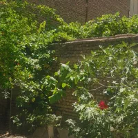 70-متر-1خوابه-رهن-واجاره-درحکیمیه