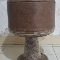 ضرب